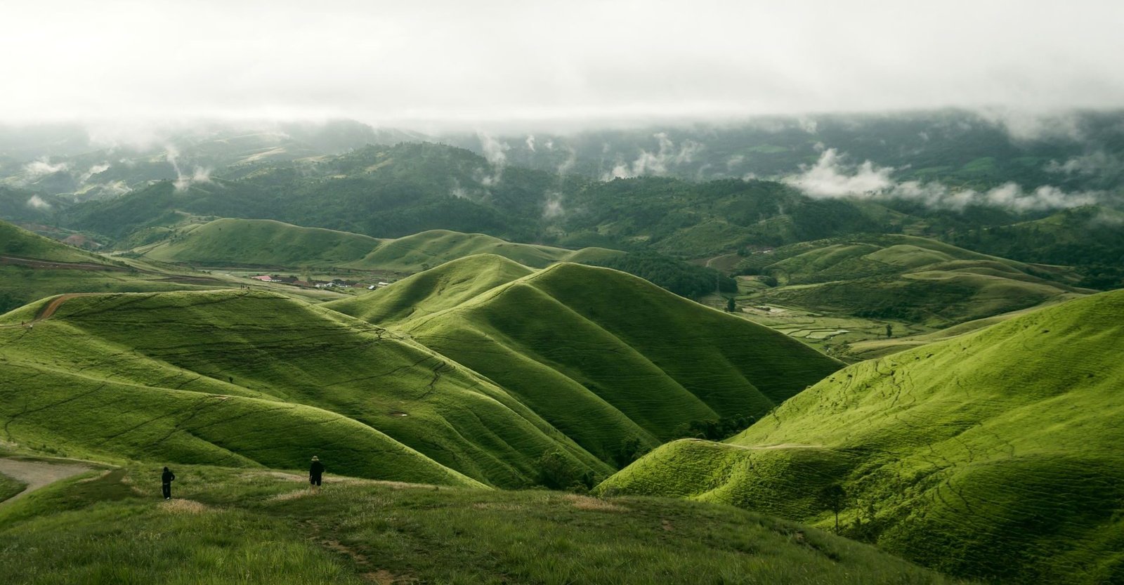 Landscape Photography
