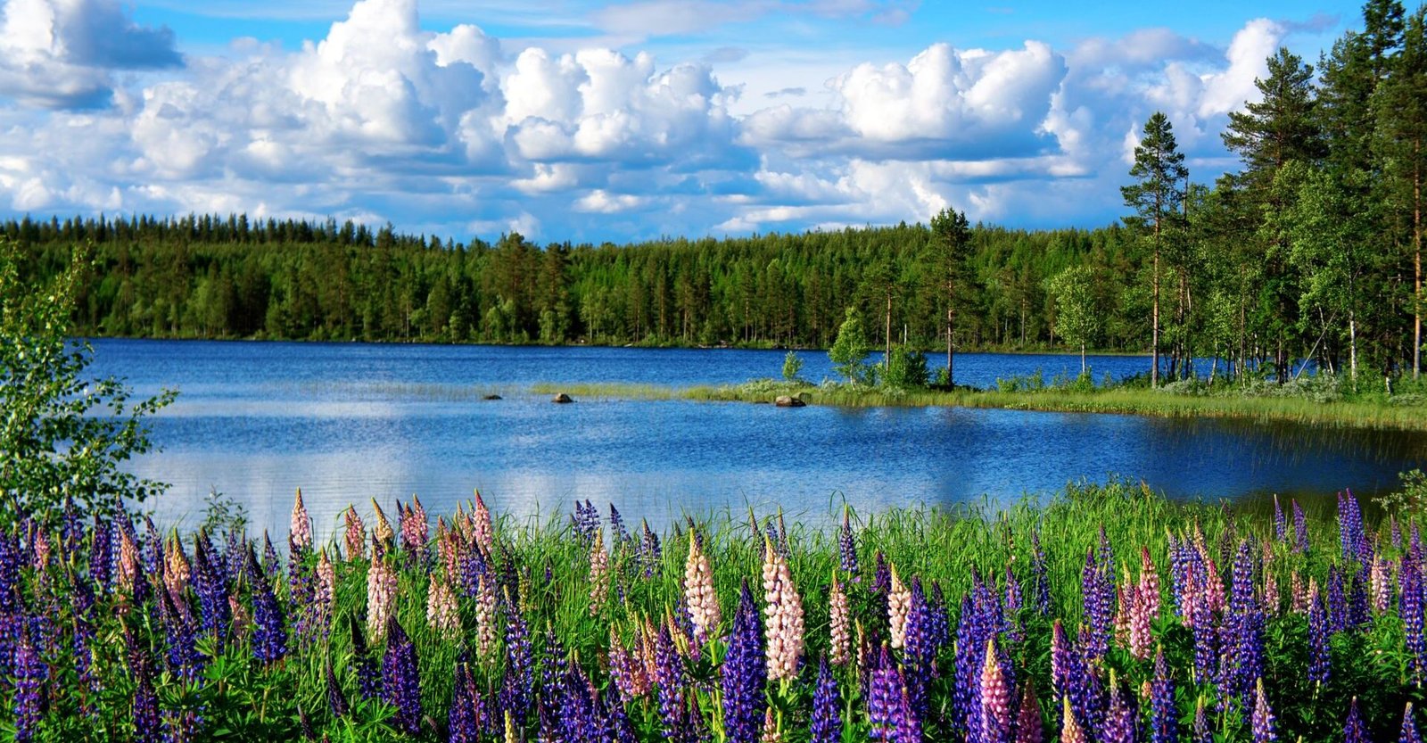 Landscape Photography